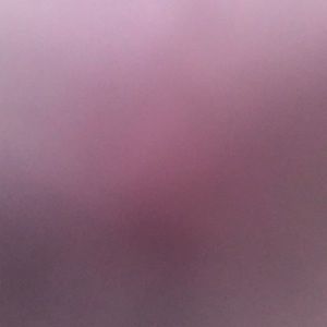 Meet your Posher, Danua